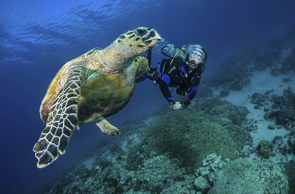 Lebegőképesség tanfolyam (Perfect Bouyancy Diving)