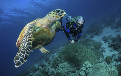 Lebegőképesség tanfolyam (Perfect Bouyancy Diving)