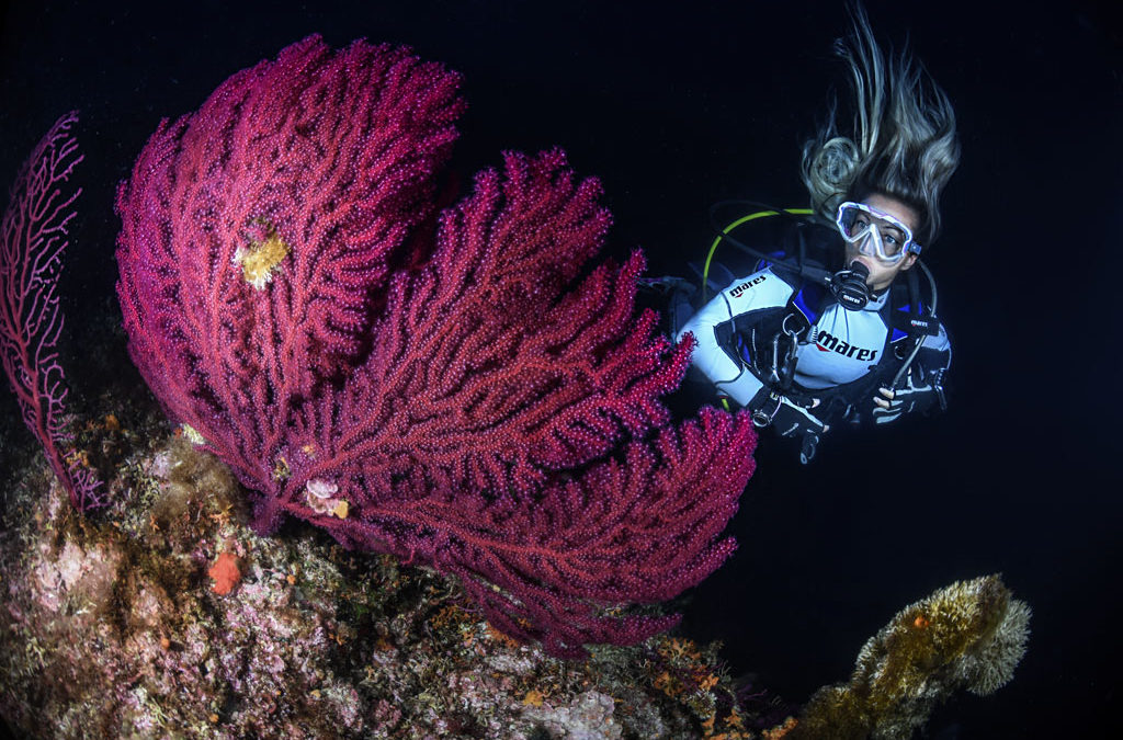 Mélymerülő tanfolyam (Deep Diving)