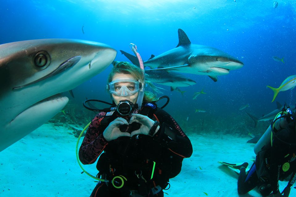 Cápa ökológia (Shark Ecology)